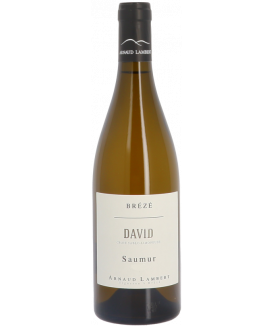 Saumur Blanc "David" 2021...